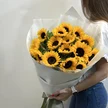 724f1b40-59f4-4de2-ab21-dff8a9ec638a-72951571.jpg