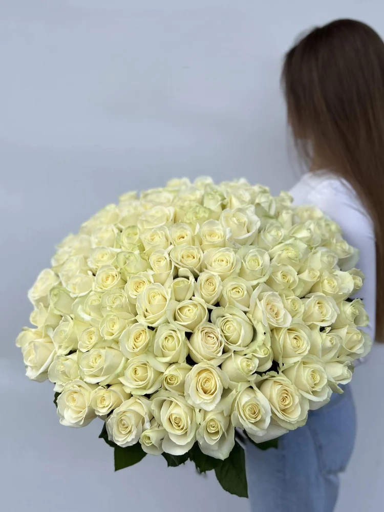 3a4b9d32-6e99-4557-ae3d-69a6912a6f17-75000328.jpg