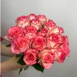 0e7d5ef4-e93b-4c6a-b384-db26644c2a7b-orig-4.jpg