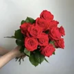 482ba4d3-a25c-440e-a86a-c44a541a3cd1-b73f73f4-71c9-4c14-9875-c27c9e996e4c.jpg