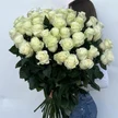 3b1f24f8-0a90-4d42-8382-eed8b71dd43c-28520761.jpg