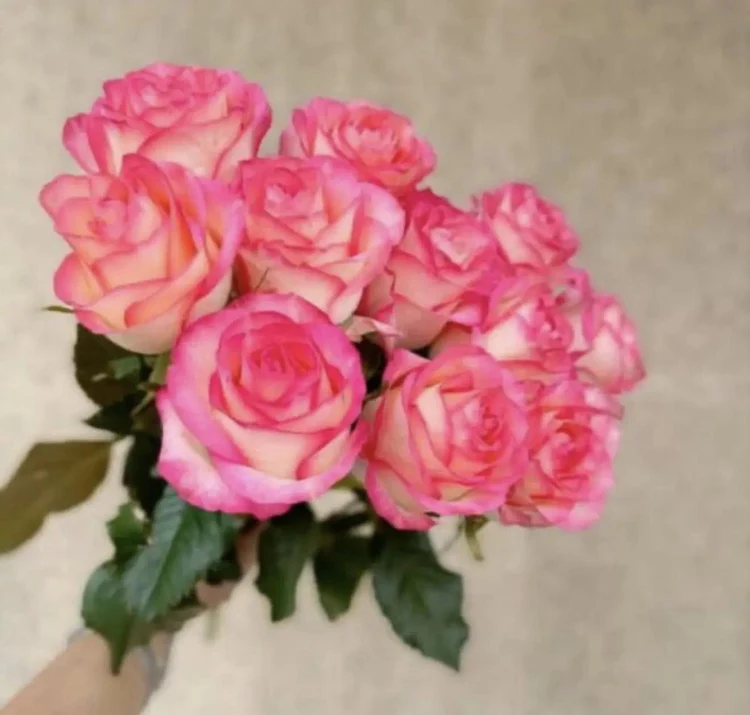 7021fb54-2145-4623-9c91-6c1e3fb670bb-ec573815-2ef3-4d55-a237-e70e2ddb38ba.jpg