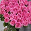 0064f901-3286-4994-b322-203550271cb5-7159e8f3-008d-45a3-b442-fbd63e680c00-копия.jpg