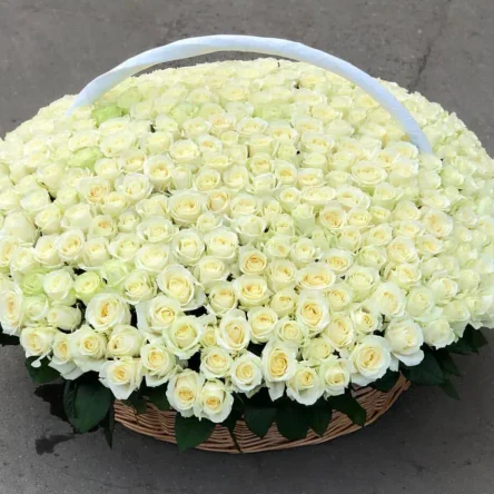 Букет "Белая роза 501"
