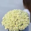 3a4b9d32-6e99-4557-ae3d-69a6912a6f17-75000328.jpg