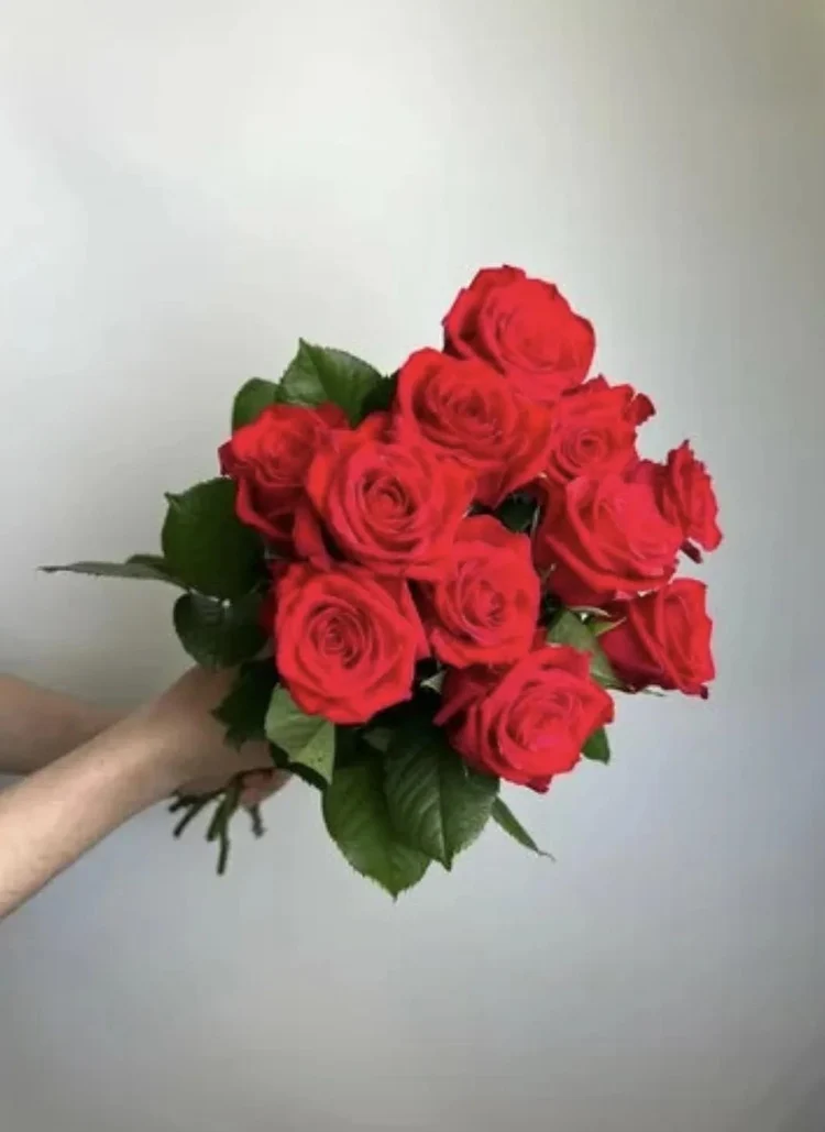 482ba4d3-a25c-440e-a86a-c44a541a3cd1-b73f73f4-71c9-4c14-9875-c27c9e996e4c.jpg