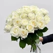 9f3eecae-31d7-4cf2-9691-c210329cc1c8-4ef34d6f-06b7-40f5-84a2-690e7311b105.jpg