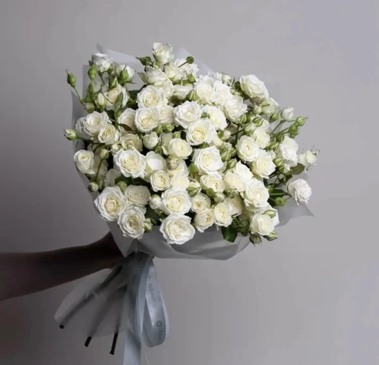 c3724dcc-792d-43b6-9ace-0908755b8685-6e14ec34-3185-4cbd-9c5c-cc59632b1cc2.jpg