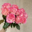 7021fb54-2145-4623-9c91-6c1e3fb670bb-ec573815-2ef3-4d55-a237-e70e2ddb38ba.jpg