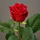 a2cb6e92-9f99-4962-93ac-2129452bc39d-08e7d3c47f6806afeb73a18e5b3aa031.jpg
