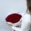 72724421-4967-4c53-ae95-dbdaf89204fe-37066618.jpg