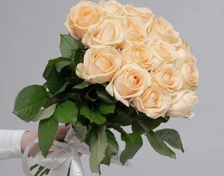 1ca93f19-2a40-4256-9132-6a4dabd3ea05-42aa4d35-b090-448b-b36c-2ddb9dd3833f.jpg