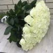 3e83e80d-d597-4a4d-a764-a1c21cabb077-43e9c1fb-3f7e-4faf-b48d-cbb1dd877a1a.jpg