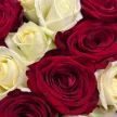 131fd2df-c7bd-44f7-ac75-ee645c7594b4-75318590.jpg.webp
