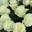 3f428fa9-7cb9-4d8e-86e6-31a51486e8d1-23014883.jpg.webp