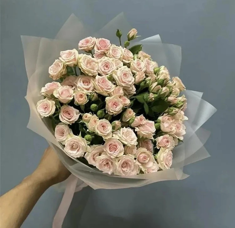 75e7eb6b-cd40-484a-b0f5-ce841af52a20-db1d2a8a-cb05-4e20-be46-3518a55f7103.jpg