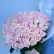 cb8c0b86-4dcd-4dab-adfb-0e63477b471e-30671452.jpg.webp