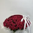 a8a2f2d6-8b75-436f-91e8-63a96d03123a-12031946.jpg