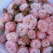 8f282e75-6a07-4dd6-a6ee-831f4ab6d9c8-75629953.jpg.webp