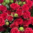 0fbeebb7-0c60-4de7-9f9c-bd241e357570-66725687.jpg.webp