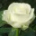 09387c4c-6b80-467f-968e-0c4656763473-l35nxfy8nfudzjlplierbmmnfcerddcq.webp