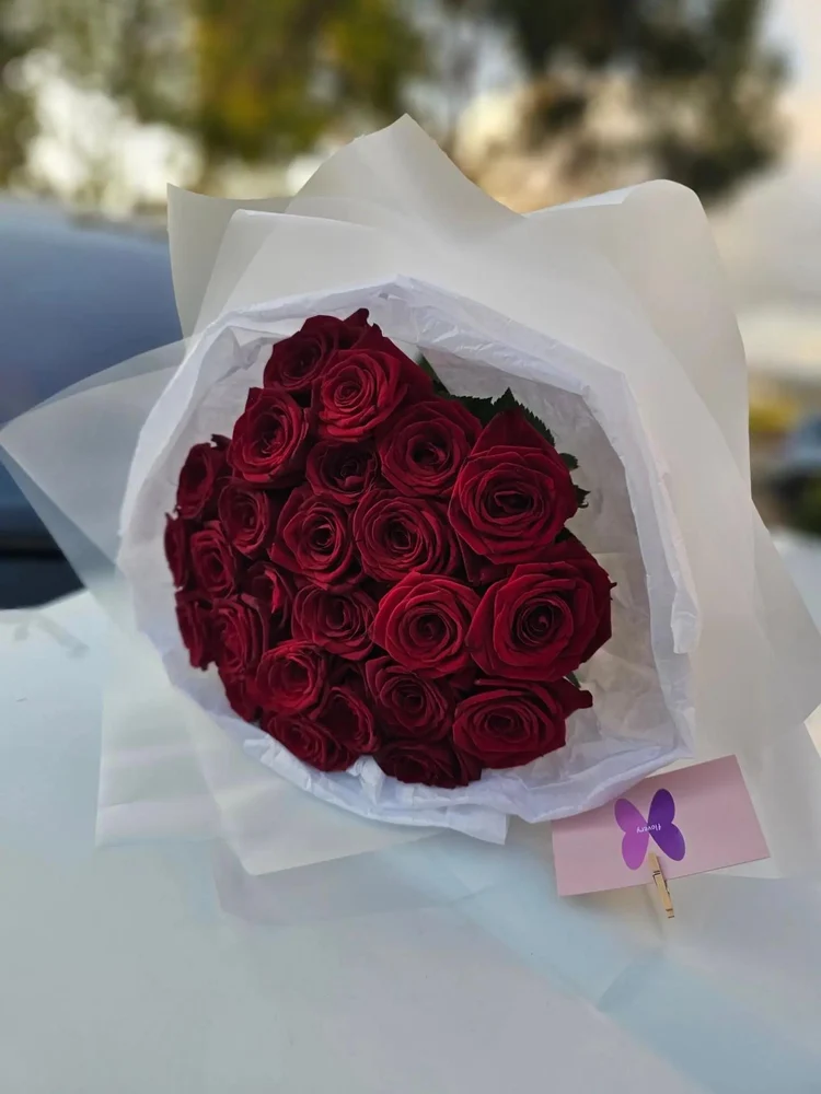 95d11db3-c2b6-4dff-a3fe-4ce1cf48685e-8b38bab1-a97b-49c3-a45b-ea7cfc460e8f.jpg