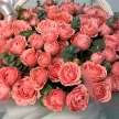 7ae994b3-91c7-4f75-9d93-62273297c1a6-81687132.jpg.webp