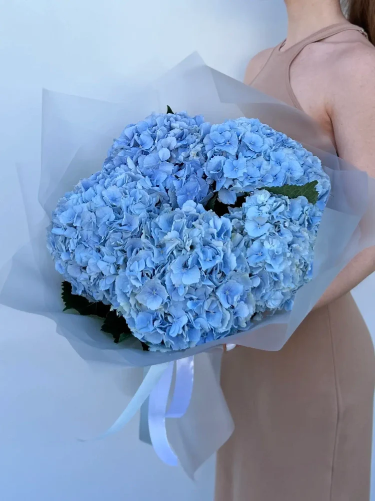 3d9d0eff-ebab-457b-b5c6-69dc77d7d80c-92014240.jpg.webp
