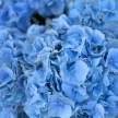 f86be677-6c48-4e34-9e6e-cfb8f0d9a1a3-69969123.jpg.webp
