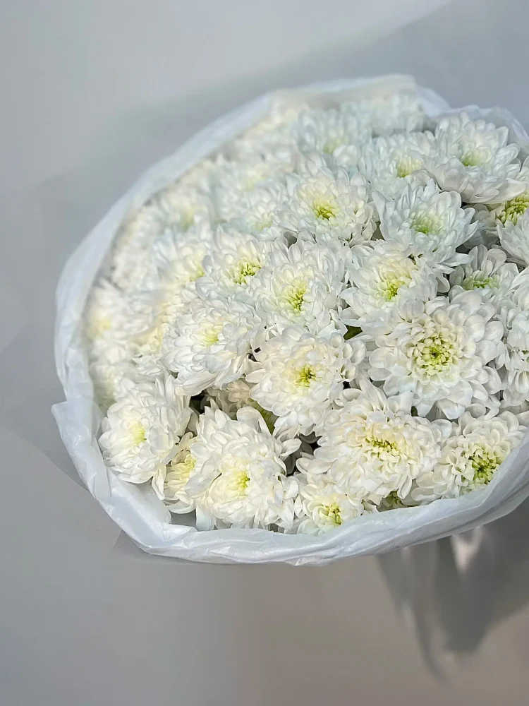 f8cc1c8e-82ac-4a70-98e5-74b179d055cb-87071041.jpg.webp